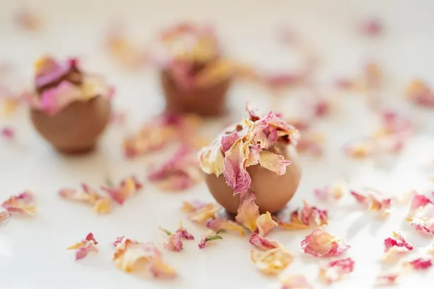 МООН Казино Android/iOS приложение